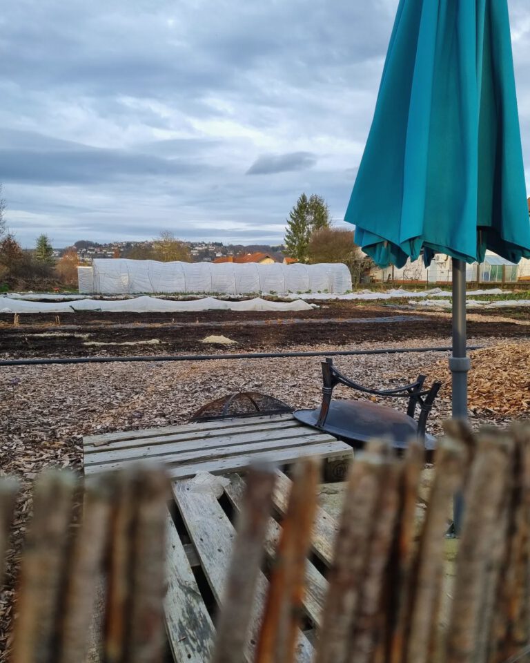 Instagram post from stadtgemuese_fulda. This post is in position 19.